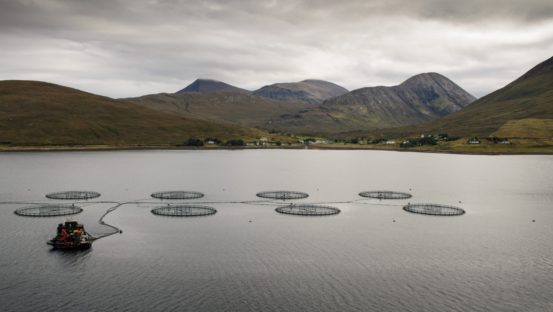 Fury as fish farm pesticide pollution rises 72 in a year